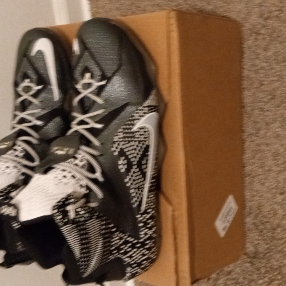 Lebron James size 15. Normally $175; now $100 Black and White